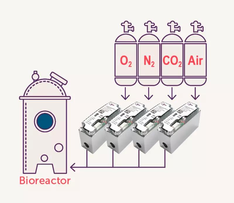 Bioreactor Manifold
